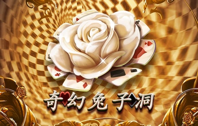 高云体育官网入口